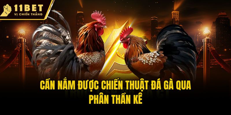 Chiến Thuật Đá Gà - Bí Quyết Đặt Cược Dễ Thắng Tại 11bet 2 Cần nắm được chiến thuật đá gà qua phân thần kê
